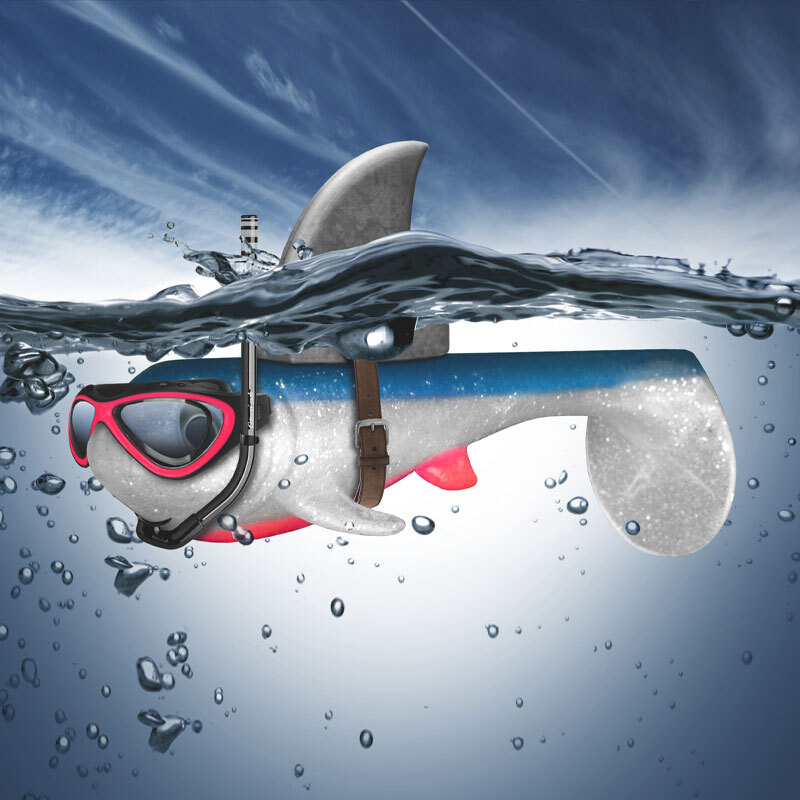 Promotionbild för fiskedrag
